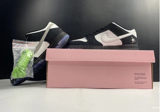 BV1310-013 SB Panda Pigeon Dunk Staple Nike Low 1108